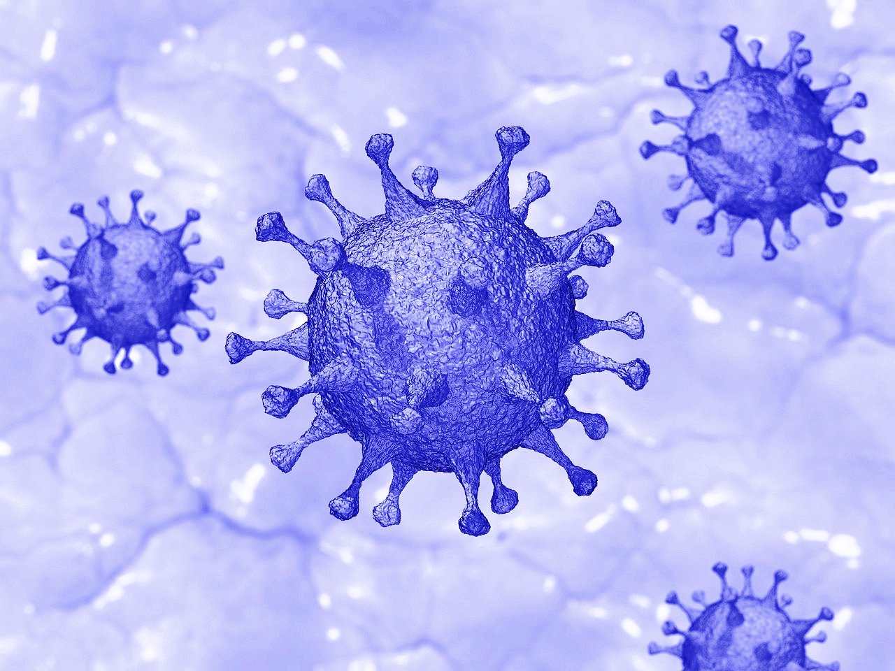 Covid-19 : CRBM-3 faz recomendação aos biomédicos sobre coronavírus 